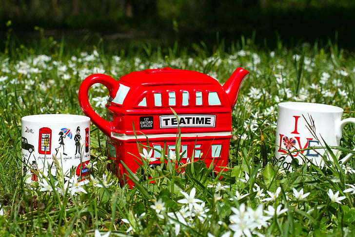 tea time, outdoor, cup, kettle