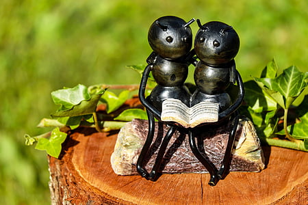 蚂蚁, 昆虫, 图稿, 铁, 坐, 亲情, 浪漫
