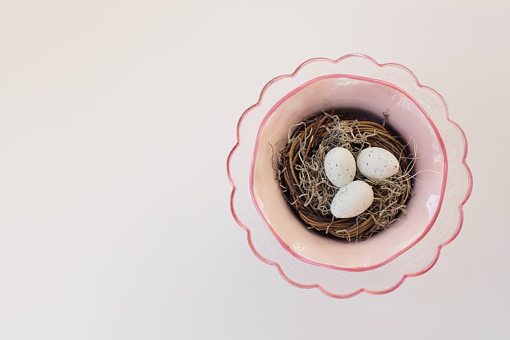Bird's nest, primavara, Paste, roz, cuib, ouă, copyspace