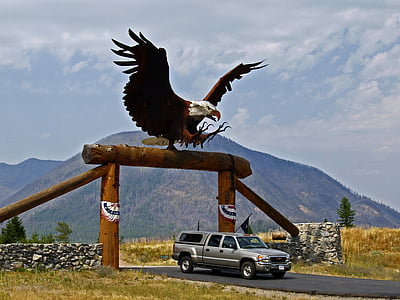 Сверхгабаритные, ворота, металлический белоголовый орлан, Ранчо, пейзаж, автомобиль, транспортное средство
