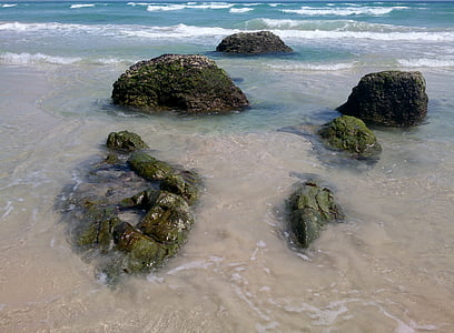 kirra beach, rocks, beach, ocean, moss, coast, australia