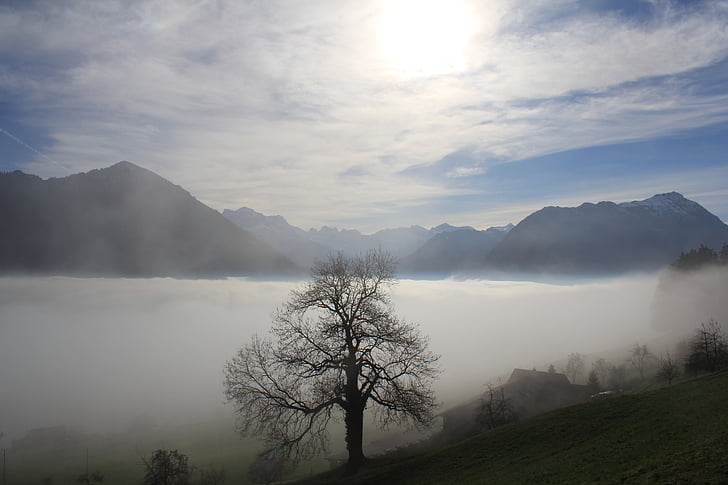 montagnes, nuages, Sky, paysage, brouillard, Lucerne, idylle