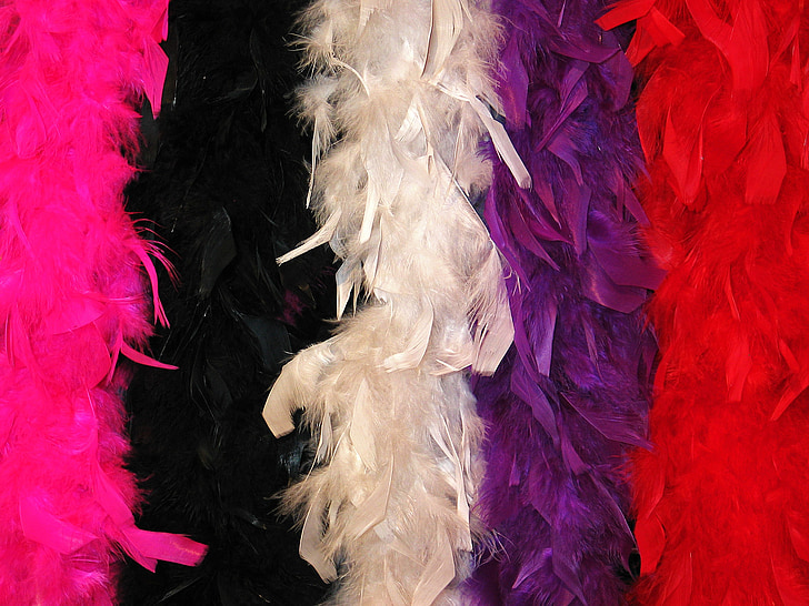 estolas, estolas de carnaval, chal de plumas, traje, Carnaval, panel, colorido