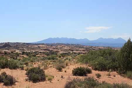 mäed, Desert, Utah, kivid, põõsad, Southwest