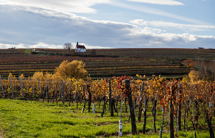 autumn, landscape, chapel, wine, grape, cloud, sky