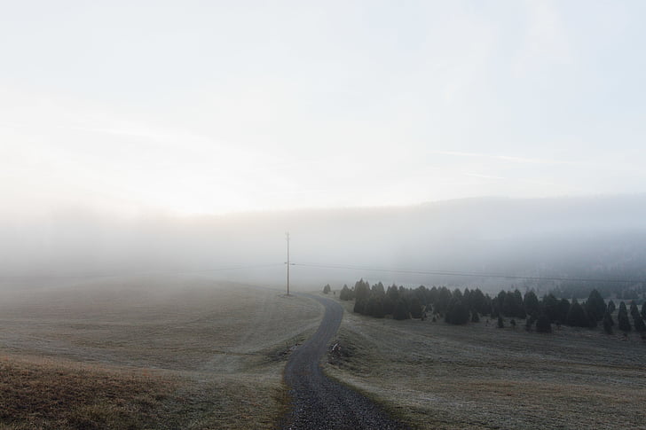 sương mù, đường, hình ảnh, theo dõi, đường dẫn, Lane, cảnh quan