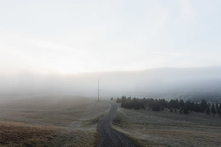 foggy, road, photo, track, path, lane, landscape