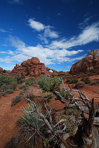 Parc Nacional dels arcs, roques vermelles, vermell, Parc, desert de, Utah, Nacional