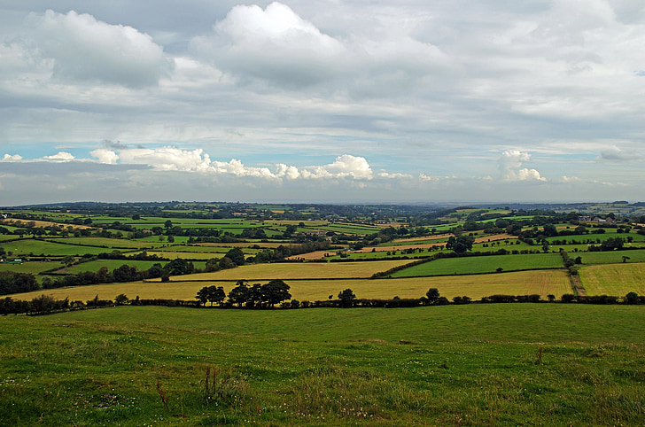ziemeļu, Yorkshire, Anglija, Charles, ainava, daba, laukos