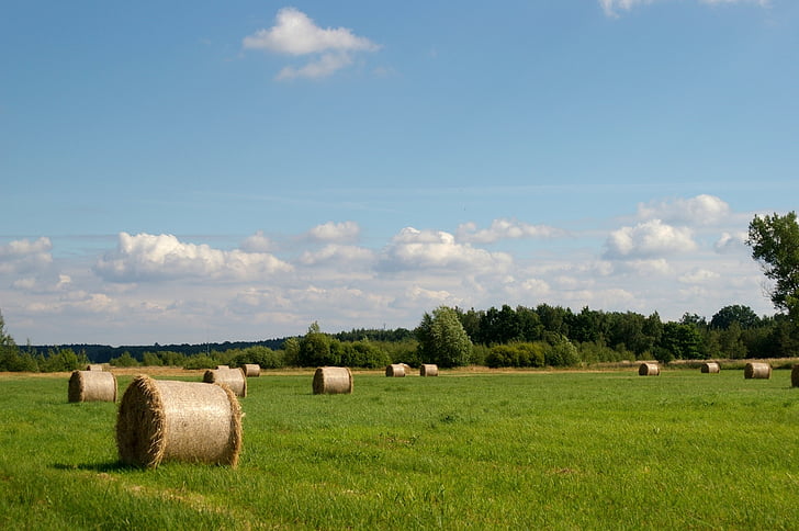 hay, beams, rolls, summer, landscape, nature, clouds