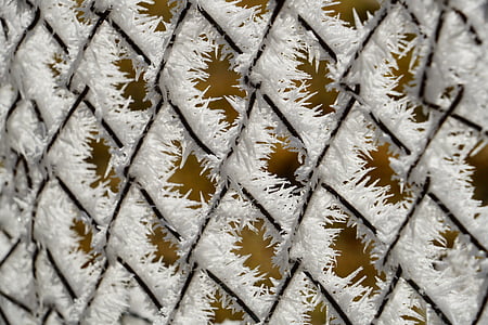 телена мрежа ограда, ограда, скреж, сняг кристали, студен, кристали, eiskristalle