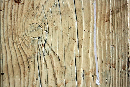 textura, madera, nudo de, madera, superficie, puerta, líneas de