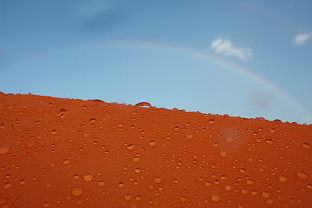 oranžinė, lašas, vaivorykštė, vandens, lietus, saulėtą dieną, closeup