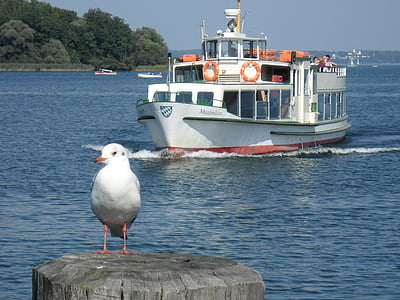 tourism, ship, seagull, lake, chiemsee, water, sea