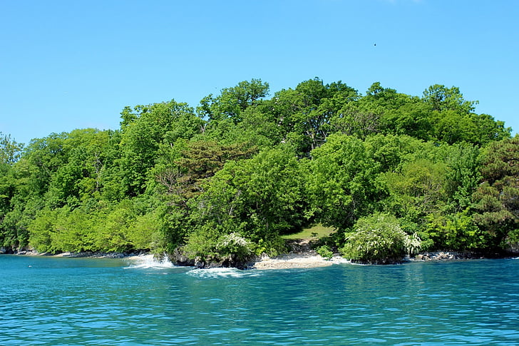green, greenery, vegetation, island, water, lake, blue water