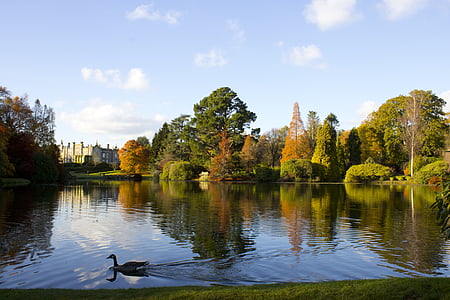Sheffield park, reflectie, Lake, herfst, water, kleurrijke, Gouden