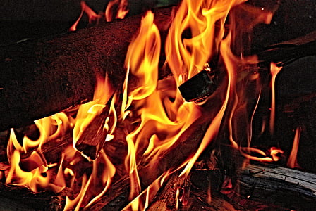 fire, flames, wood, burning, yellow, flame, red yellow