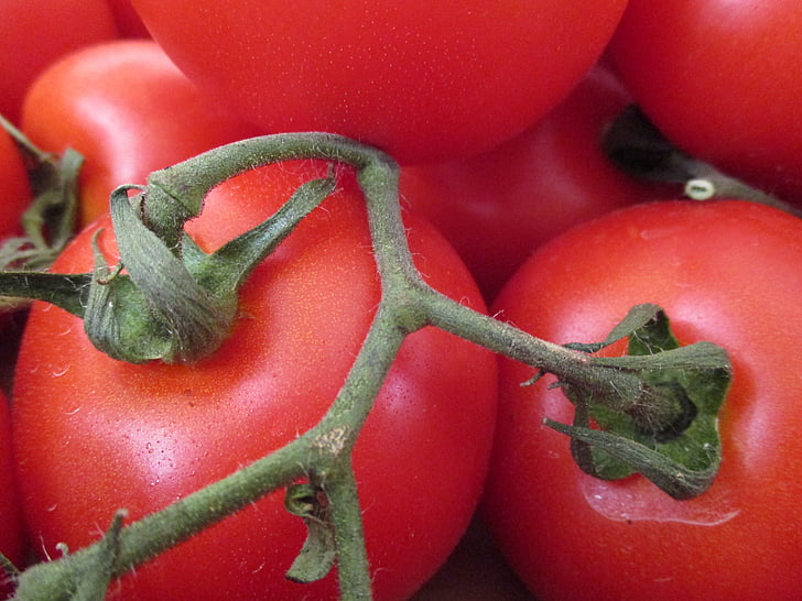 cà chua, rau quả, solanacea, hữu cơ
