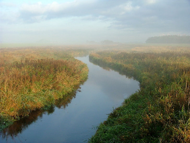 um, manhã, névoa, fluxos de, vala, campos, Nordjylland