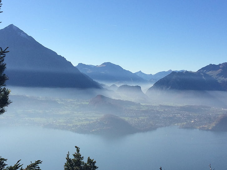 tåge, Alpine, bjerge, nysen, Berner oberland