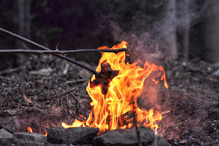 огън, лято, дървен материал, клон, залез, двойка, Bonfire