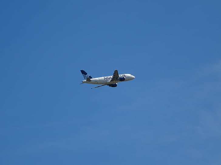 letala, orel azure, krilo, modro nebo, jasno, letalo, potniška letala