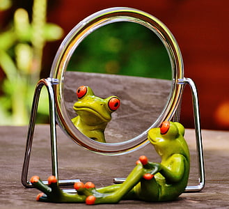 granota, mirall, imatge en el mirall, reflectint, valent, divertit, diversió