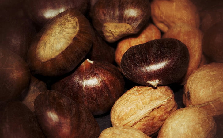 chestnuts, walnuts, november