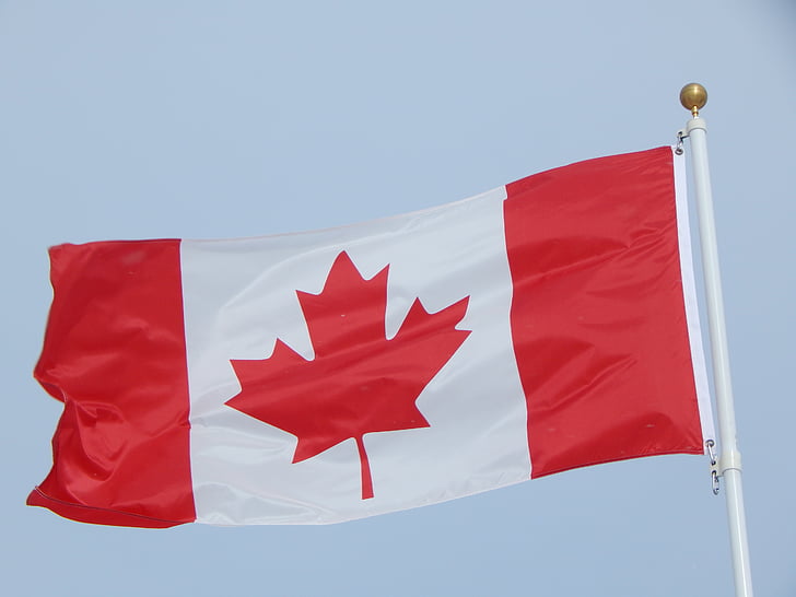 canadiske flag, Canada, flag, maple leaf, canadiske, nationale, nation