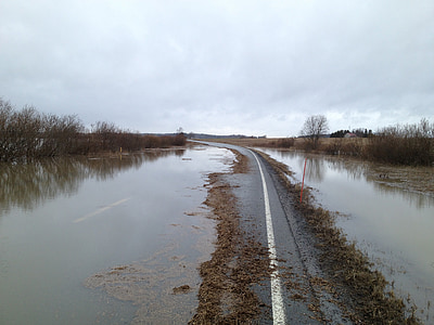 inondazione, strada, acqua, vialetto, da altra parte, Finlandese, Ypäjä