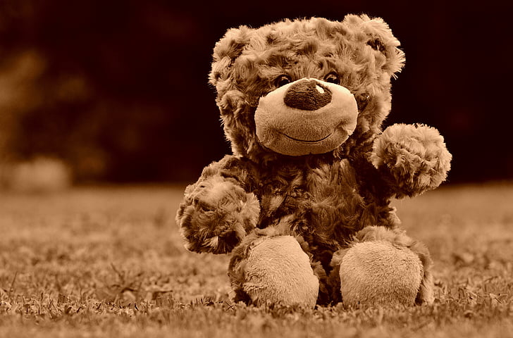teddy, soft toy, stuffed animal, teddy bear, cute, child, sweet
