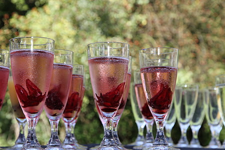 gelas sampanye, merah, dingin, musim panas, merayakan