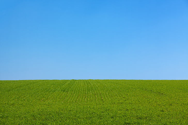 background, blue, clean, clear, day, field, dom