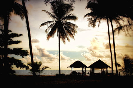 Tai, Palm puud, Sunset, majad, pilved, atmosfääri, Beach