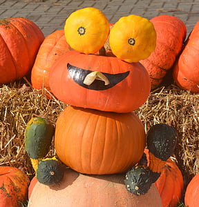 декоративни тикви, Есенна декорация, Есен, тиква, Хелоуин, оранжев цвят, зеленчуци