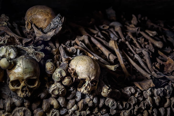 catacombs, underground ossuaries, paris, bones, cemetery, old, historical