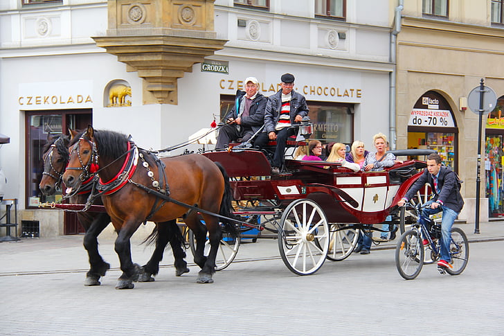 con ngựa, Cưỡi ngựa, xe cưới ngựa kéo, duyên dáng, lãng mạn, lịch sử, Kraków
