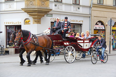 hest, ridetur, vogner, sjarmerende, romantisk, historie, Kraków