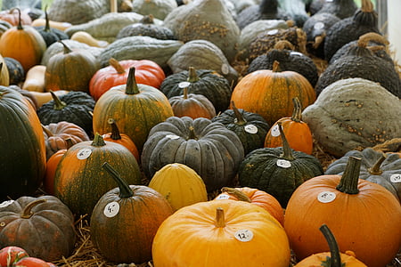 pumpkin, yellow, healthy, harvest, autumn, vegetables, vegetable