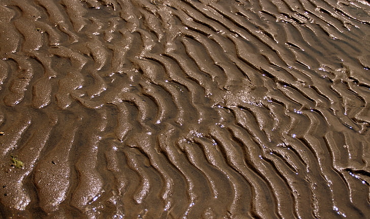 모래, 텍스처, 비치, 젖은, 자연, 배경, 패턴