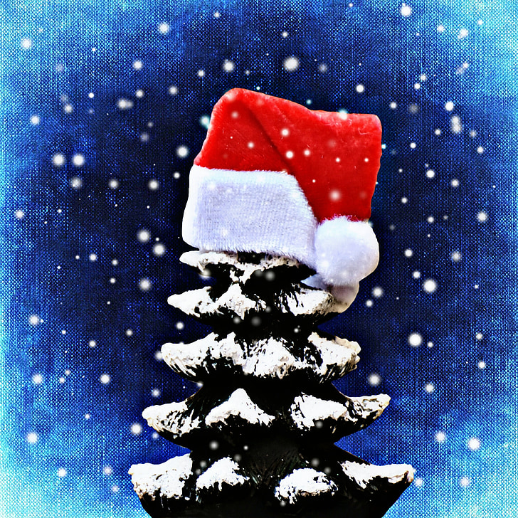 Božić, jele, snijeg, stabla, smiješno, kapu Djeda Mraza, vrijeme Božića