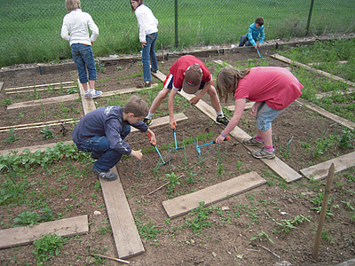 giardino della scuola, terra, Harken, erbaccia, classe di scuola