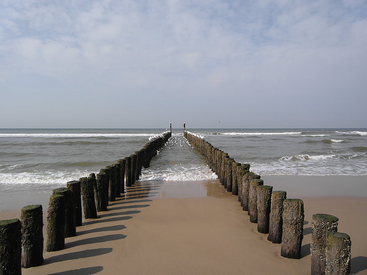 Domburg, море, Zeeland, пост, дървен материал, Холандия, Чайка