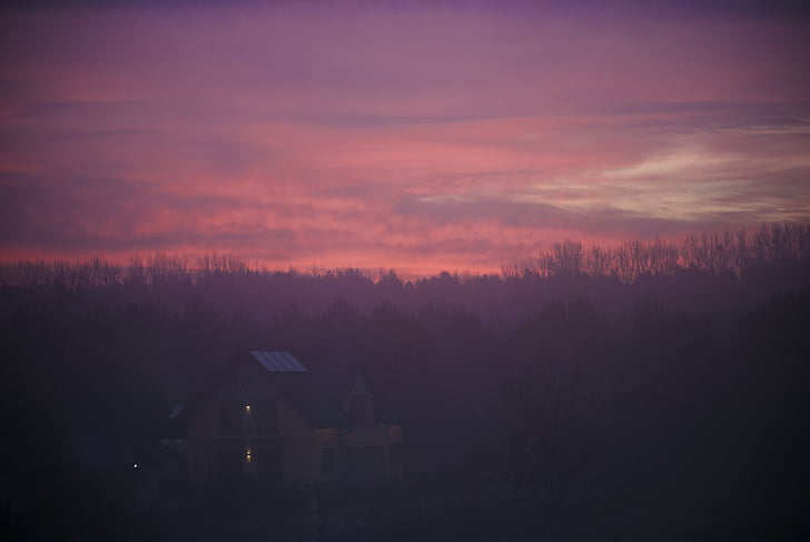 Casa, rodeado, árboles, nublado, puesta de sol, púrpura, rosa