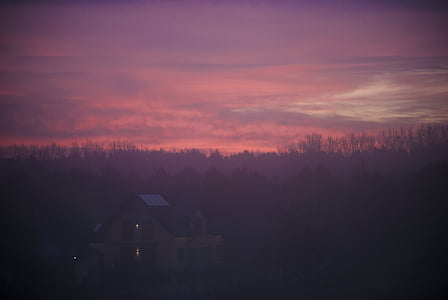 Casa, surrouded, alberi, nuvoloso, tramonto, viola, rosa