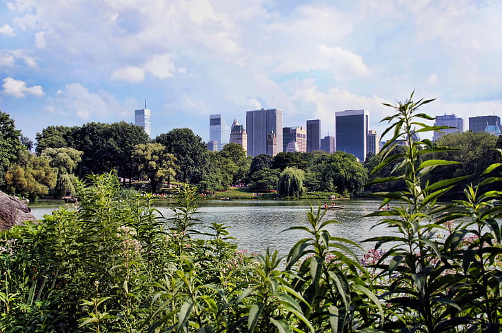 New york, Manhattan, Države, Central park, linija horizonta, jezero, vode