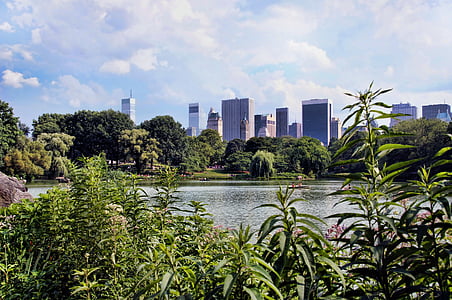 Niujorkas, Manhattan, Amerikoje, Centrinis parkas, Panorama, ežeras, vandens