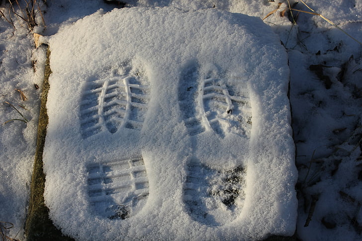 tracks, snow, walk, nature, track, frost, step