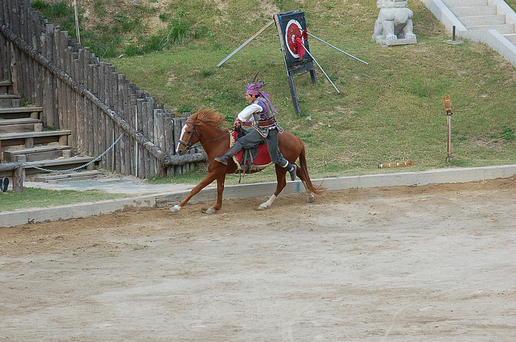 dresūrai, zirgs, trikus, galerija, Korejas Republika, armija