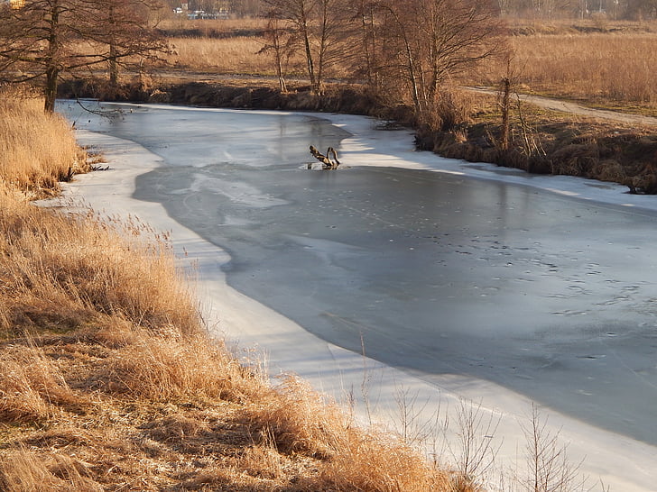 river, ice, frozen river, landscape